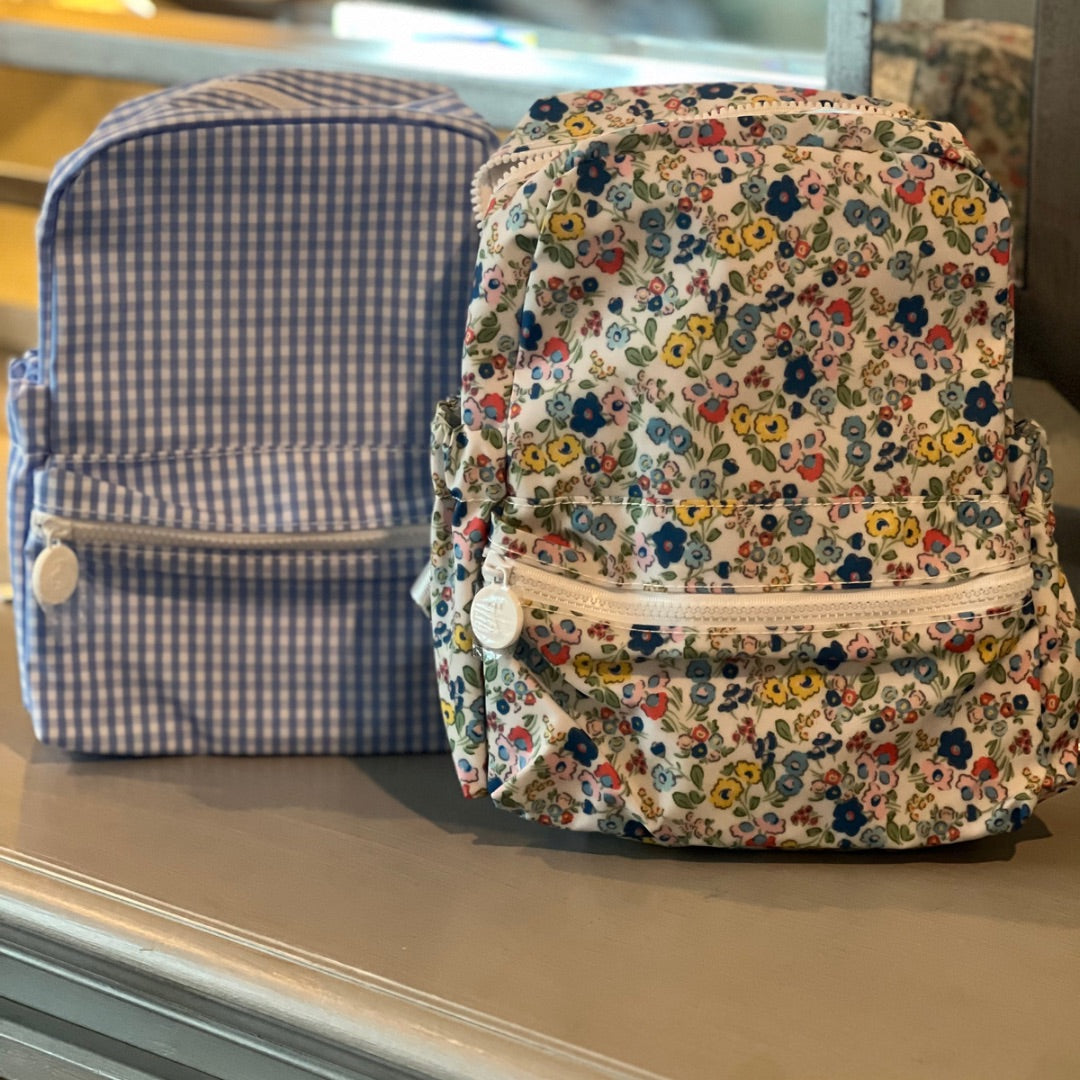 Mini Backer- Gingham Sky