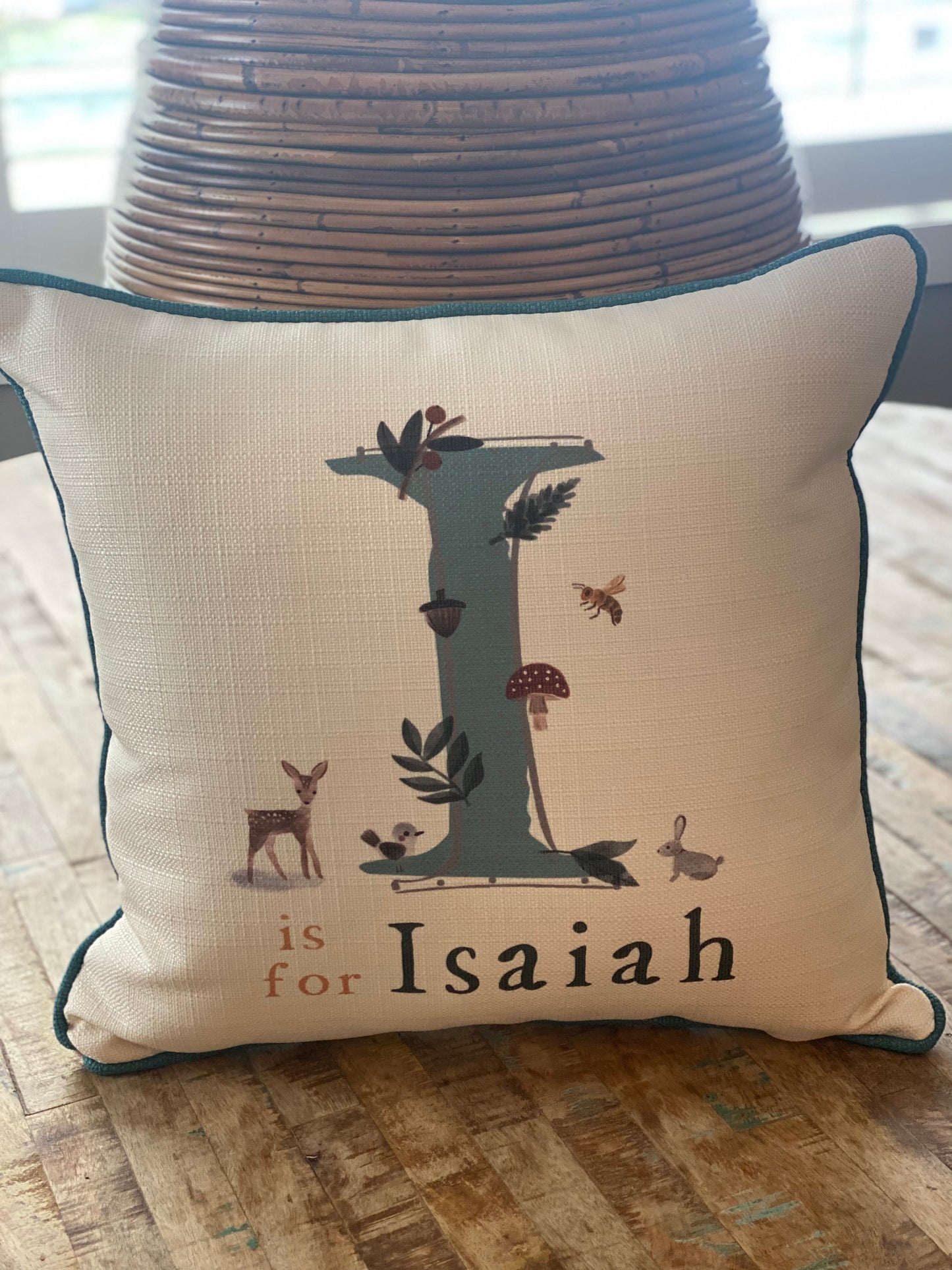 Custom Critter Boy Name Pillow