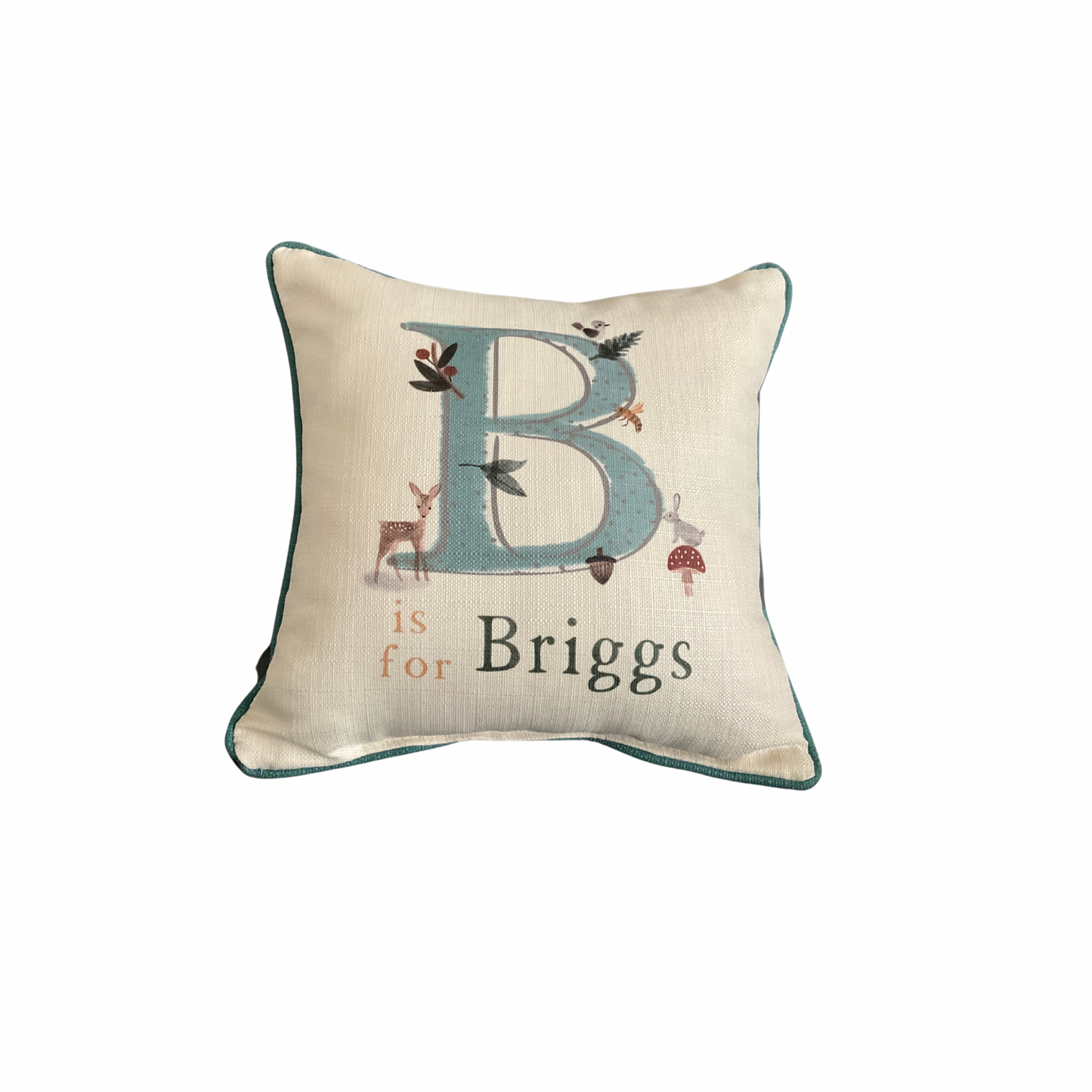 Custom Critter Boy Name Pillow