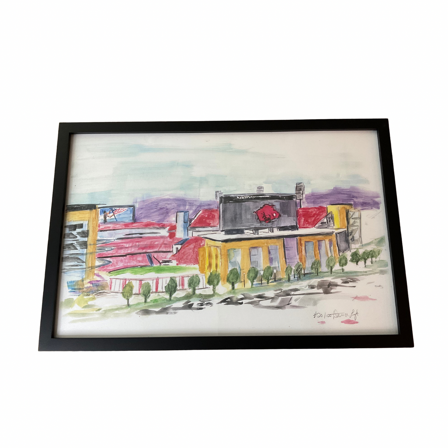Razorback Stadium print in frame